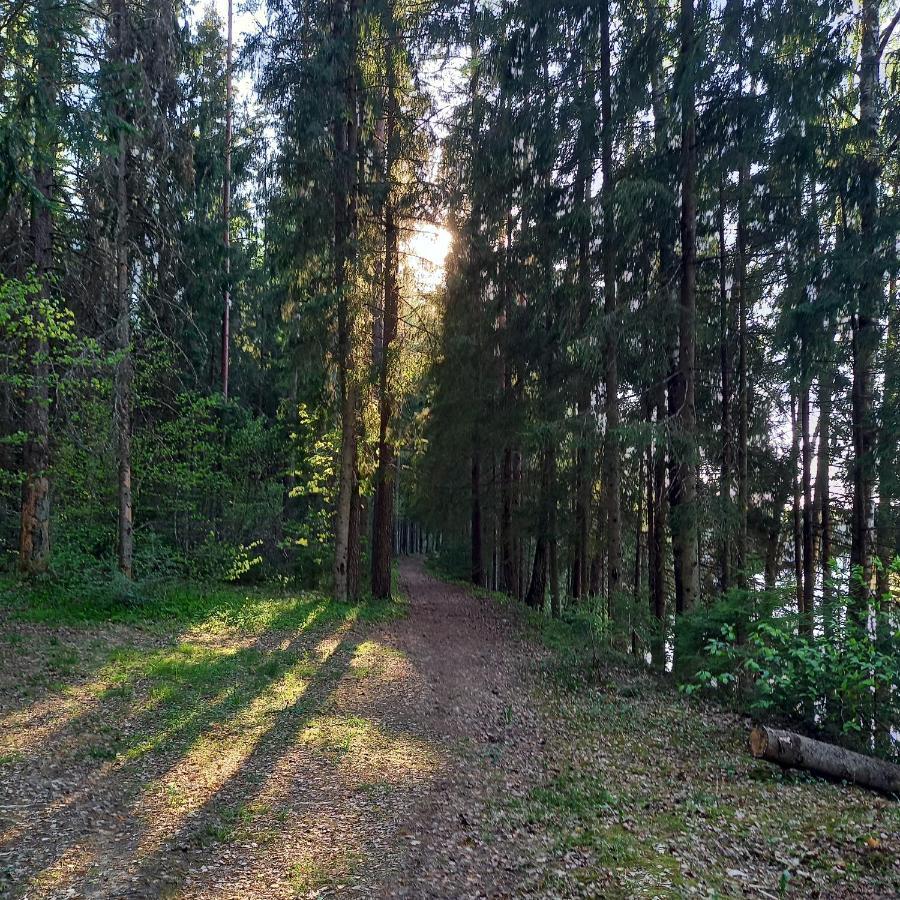 Apartamento Ozolu Gatve 2- No Cesim 7 Km Jānamuiža Exterior foto